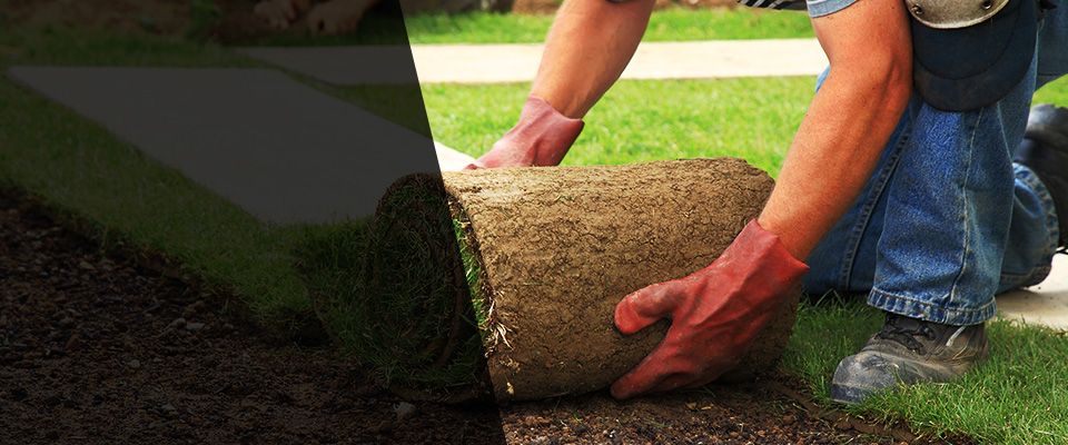 Wolftown Landscapers